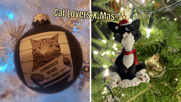 Five Purr-fect Cat Ornaments to Liven Up Your Home Decor