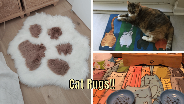 7 Cat Rugs You Didn't Know You Needed: Purr-Fect for Your Home