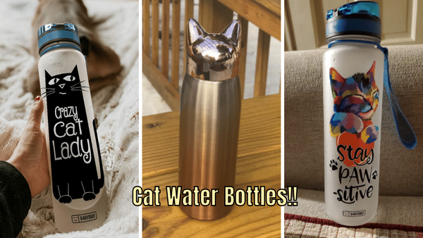 7 Cat Water Bottles: Let the Purrrfect Hydration Begin!