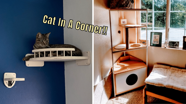 5 Corner Cat Shelves: Put Your Kitty's Paws On Top Of The World!