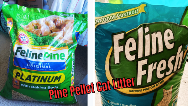 5 Pine Pellet Cat Litters Tested: Which One is Purr-fect?