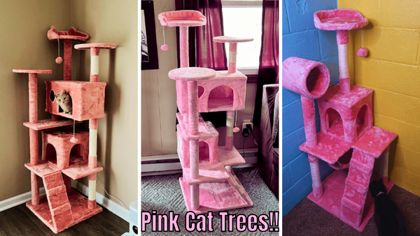 5 Pink Cat Trees: Feline Furniture for Your Furry Friend!