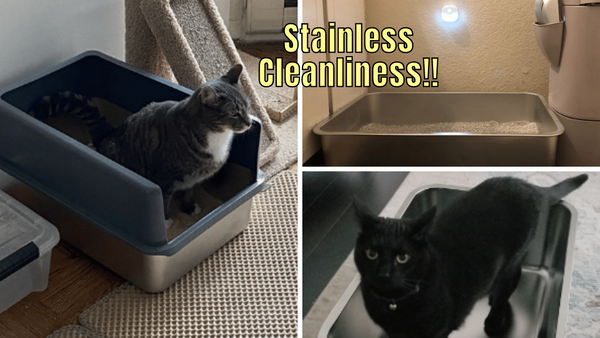 5 Stainless Steel Cat Litter Boxes: Which One Is Purr-fect?