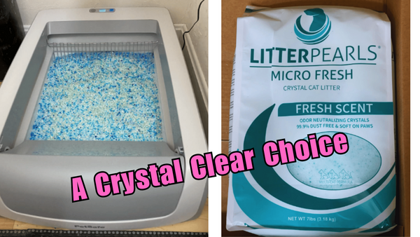 Crystal Clear: Is Crystal Cat Litter Worth the Hype?