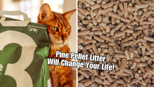 Cat Owners Rejoice! Pine Pellet Litter Will Change Your Life