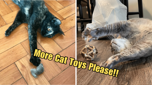 Feline Fitness: The Benefits of Cat Toys!