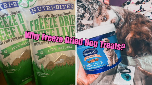 Why Your Dog Will Go Crazy For Freeze Dried Dog Treats!