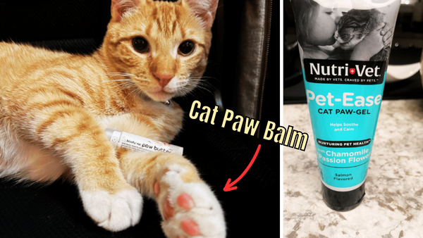 Paw-sitively Purrfect: Rating the Top 5 Cat Paw Balms