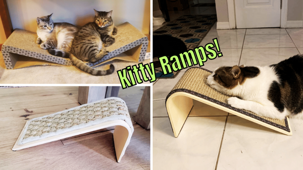 Ramp It Up: 6 Cat Ramps Put to The Test!