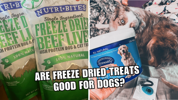 Your Dog Deserves Better: Freeze-Dried!