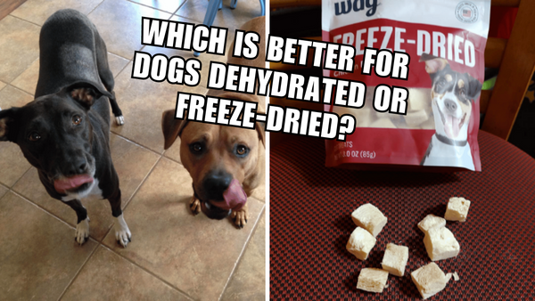 Dog Food Face-Off: Freeze-Dried vs. Dehydrated!