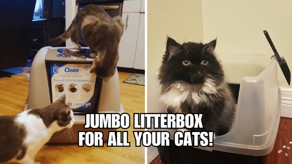 9 Lives: Reviewing the Best Litter Boxes for Multiple Cats