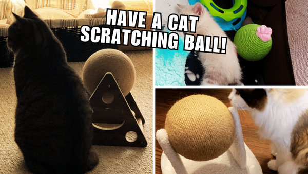 Cat-astrophic Fun: 5 Purr-fect Scratching Balls Reviewed!