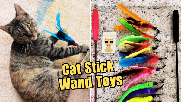 5 Cat Stick Toys: What Scratches Your Kitty's Itch for Fun?