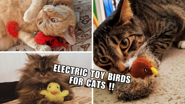 7 Electric Toy Birds for Cats: Wait for the Feline Frenzy!