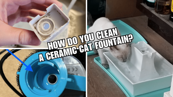 The Ultimate Guide to Cleaning a Ceramic Cat Fountain