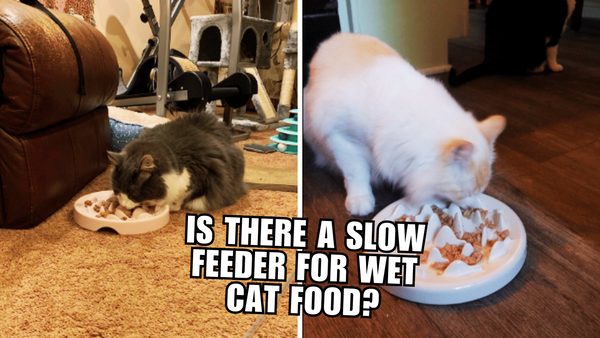 Is there a slow feeder for wet cat food?