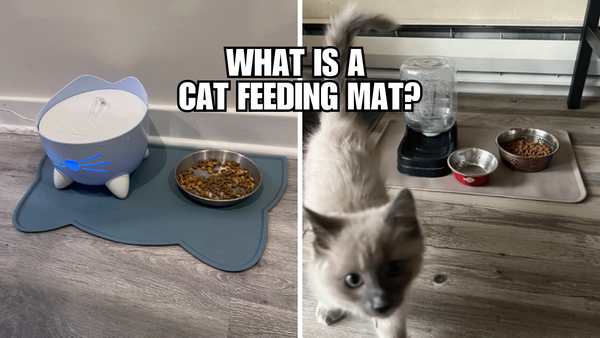 What Is A Cat Feeding Mat?