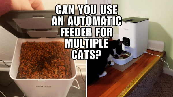 Stop the Food Fights: Automatic Feeders for Multiple Cats