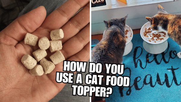 Elevate Your Cat's Dinner Game with Cat Food Toppers