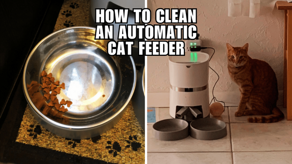 No Mess, No Stress: A Guide to Cleaning Your Auto Cat Feeder