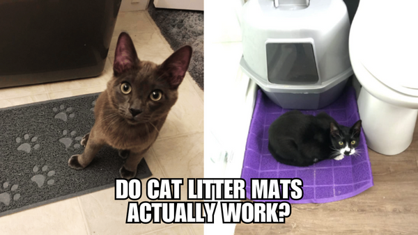 The Efficiency and Benefits of Various Types of Cat Litter Mats