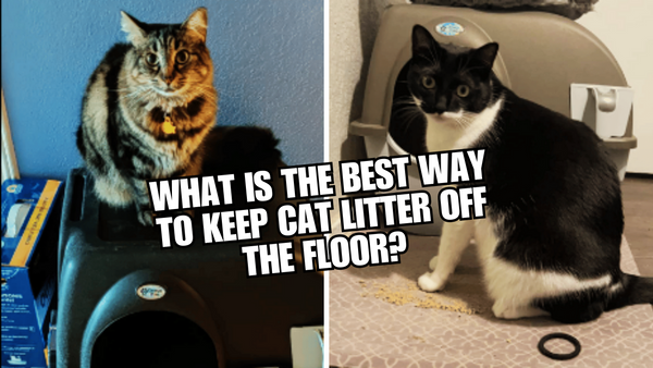 What Is The Best Way To Keep Cat Litter Off The Floor?