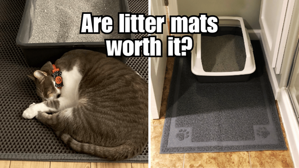 Litter Mats: The Secret Weapon Against Cat Litter Mess!