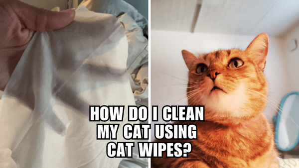 Cat Wipes Unleashed: The Secret Weapon for a Spotless Kitty