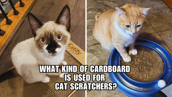 Cat-Approved Cardboard: Which is Purrfect for Scratching?