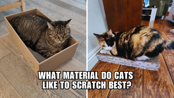 Cat-Proof Your Furniture: The Best Materials for Scratching