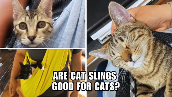 Cat Slings 101: The Ultimate Guide to Making Your Cat's Day