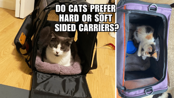 Carrier Wars: The Feline Preference for Hard or Soft Sided?