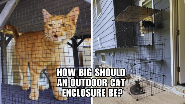 The Purrfect Outdoor Haven: A Guide to Cat Enclosure Size