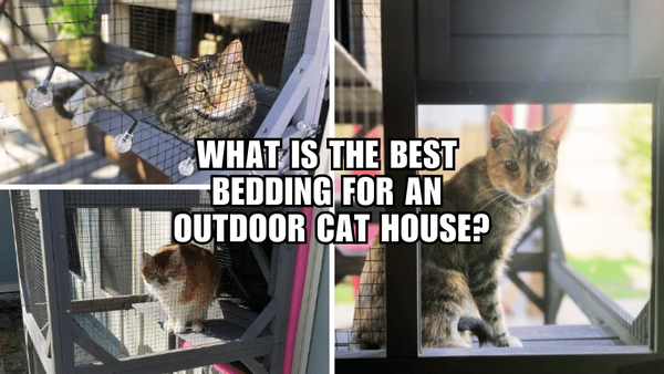 Cozy Cats Only: The Ultimate Bedding for Outdoor Cat Homes