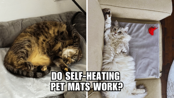 The Verdict Is In: Should You Buy A Self-Heating Pet Mat?