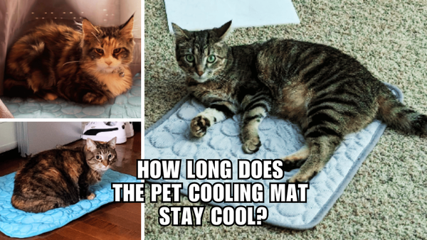 Cool Kitty Paws: How Long Does A Pet Cooling Mat Stay Cool?