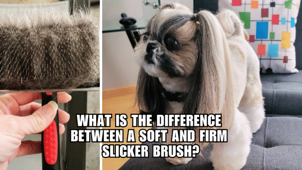 Fur-tastic Faceoff: Soft vs Firm Slicker Brushes Revealed