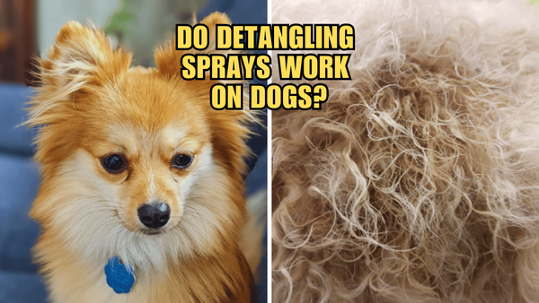 Fur Real: The Scoop on Do Detangling Sprays Work on Dogs?