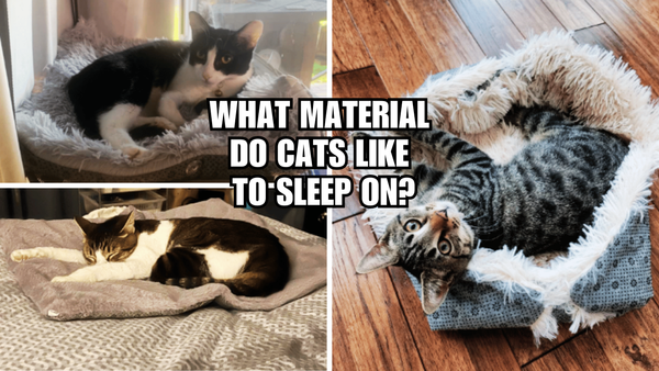 Cat-Approved Cozy: What Material Do Cats Like To Sleep On?